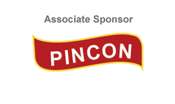 logo-pincon